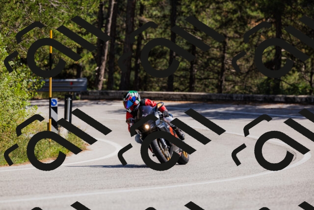 202509061415-_04A6839_c3