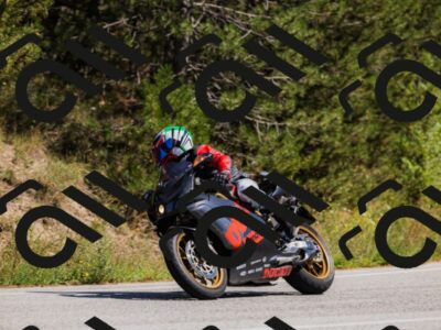 202509061415-_04A6841_c3