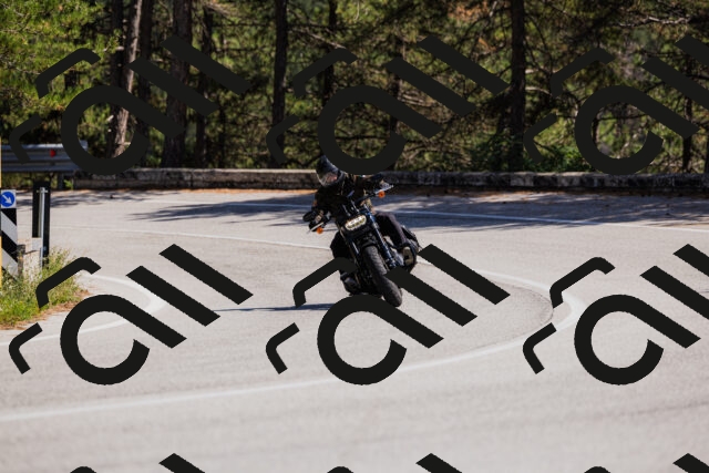 202509061416-_04A6847_c3