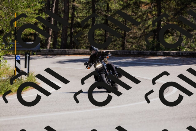 202509061416-_04A6848_c3