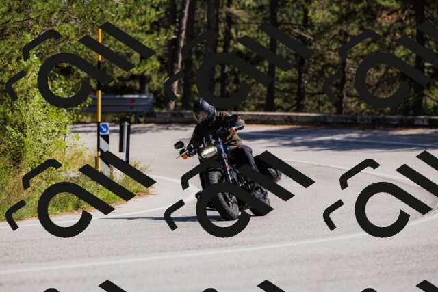 202509061416-_04A6849_c3