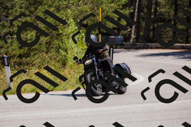 202509061416-_04A6850_c3