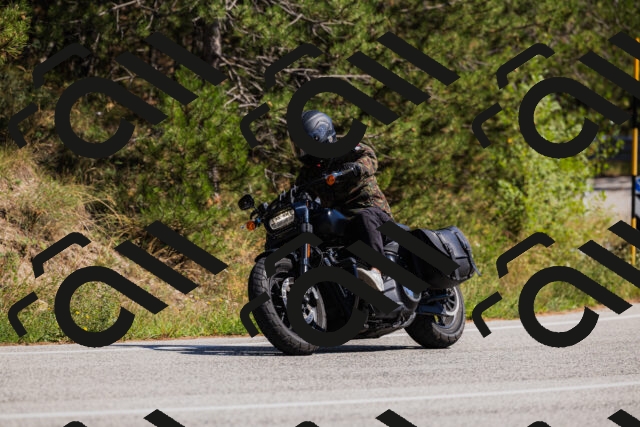 202509061416-_04A6851_c3