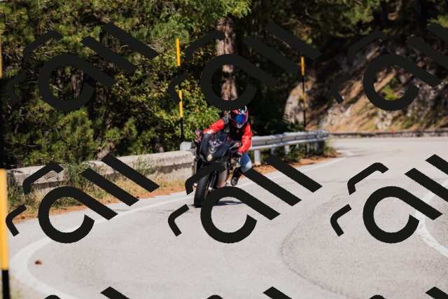 202509061416-_04A6854_c3