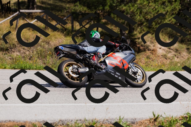 202509061416-_04A6861_c3