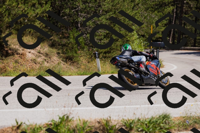 202509061416-_04A6862_c3