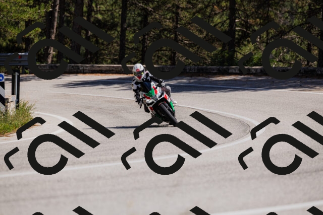 202509061417-_04A6867_c3