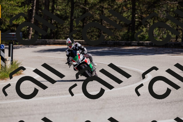 202509061417-_04A6868_c3