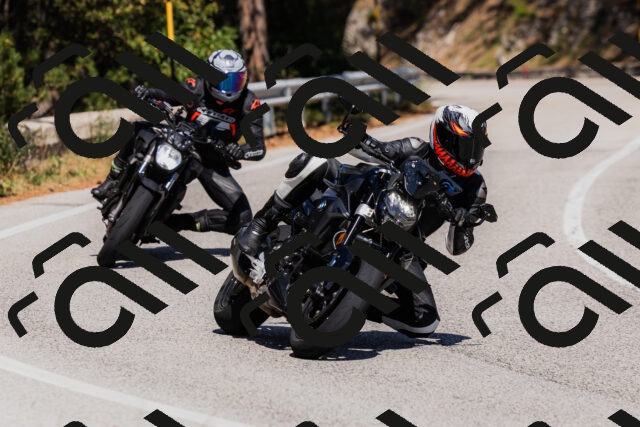 202509061417-_04A6872_c3