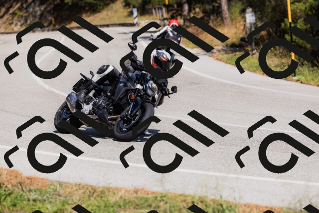 202509061417-_04A6873_c3