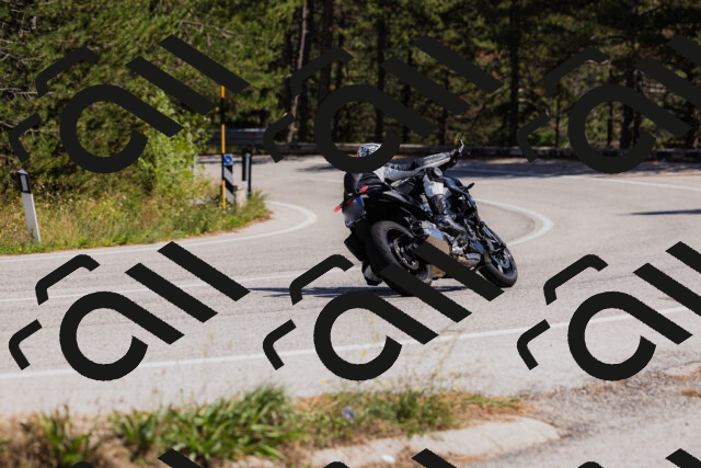 202509061417-_04A6877_c3