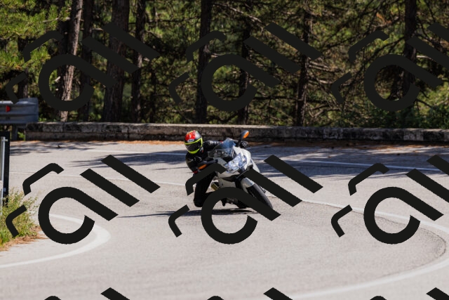 202509061417-_04A6881_c3