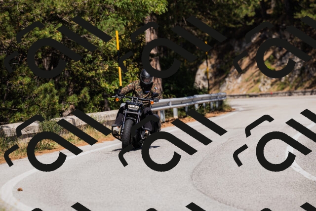 202509061418-_04A6888_c3