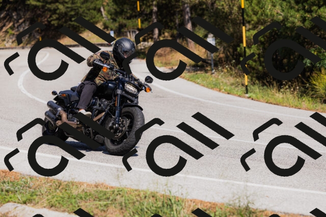 202509061418-_04A6891_c3