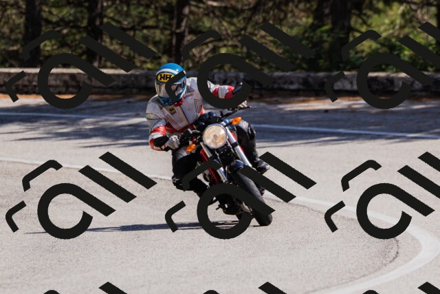 202509061419-_04A6898_c3