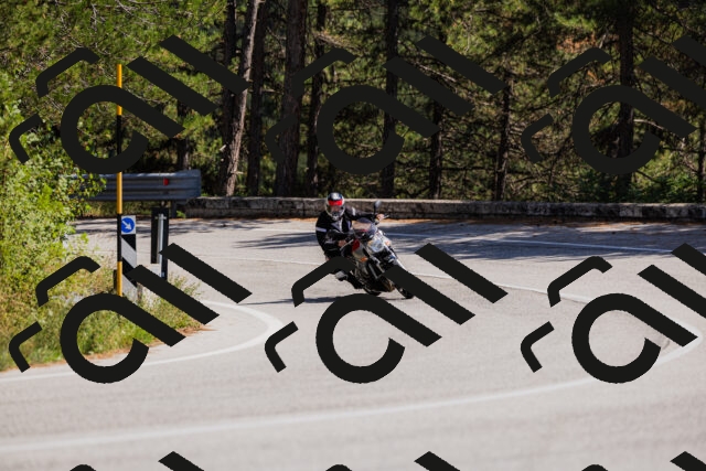 202509061419-_04A6903_c3