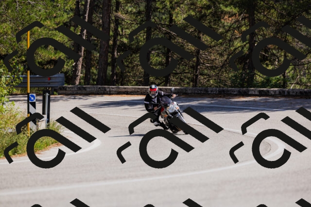 202509061419-_04A6904_c3