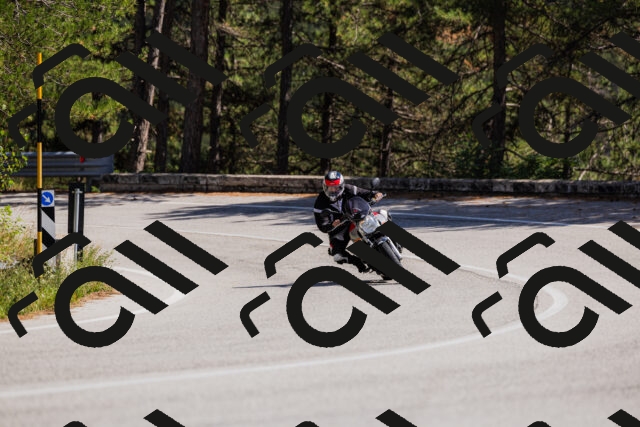 202509061419-_04A6905_c3