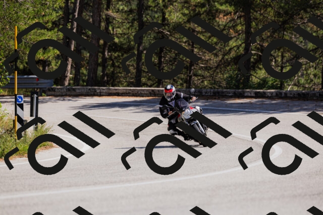 202509061419-_04A6906_c3