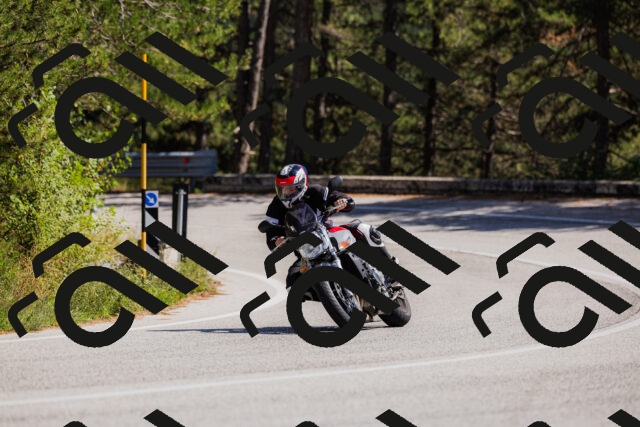 202509061419-_04A6908_c3