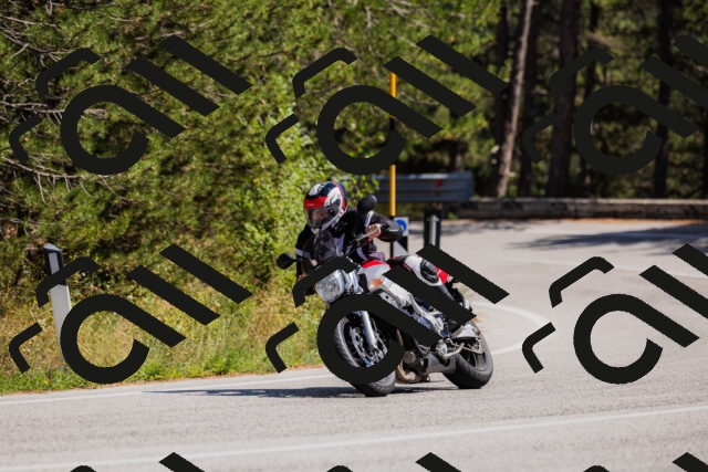 202509061419-_04A6909_c3