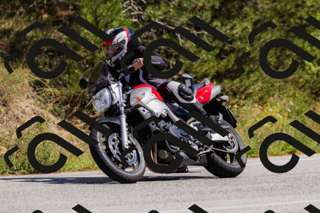 202509061419-_04A6910_c3