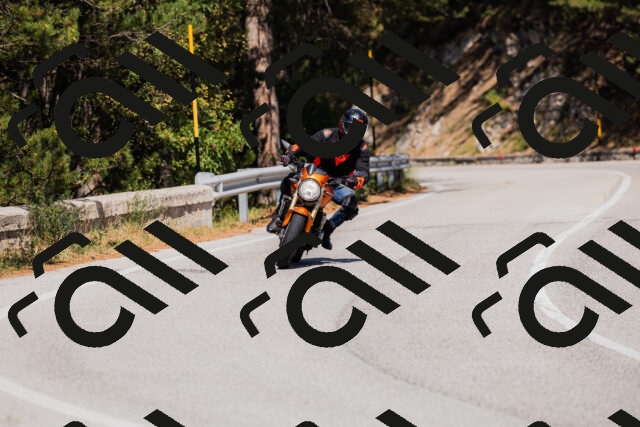 202509061419-_04A6911_c3