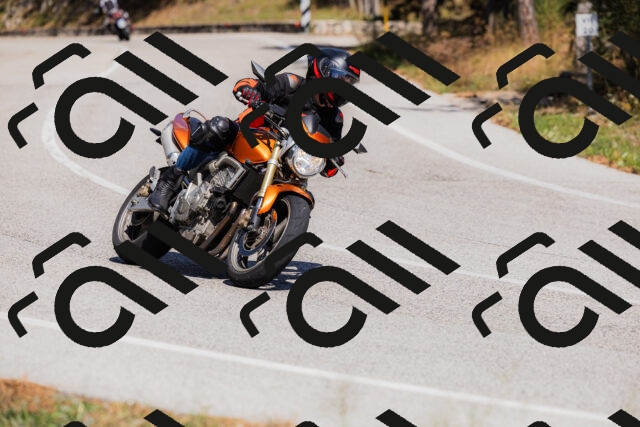 202509061419-_04A6914_c3