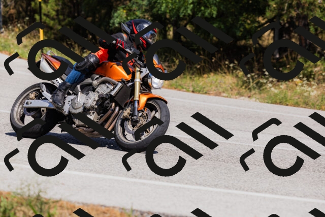 202509061419-_04A6915_c3