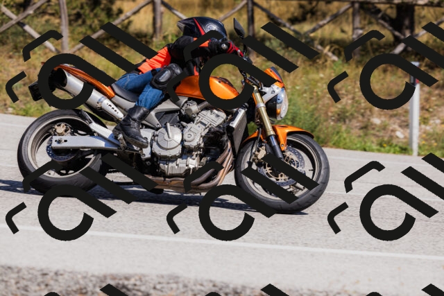 202509061419-_04A6916_c3