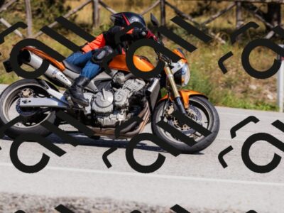 202509061419-_04A6916_c3