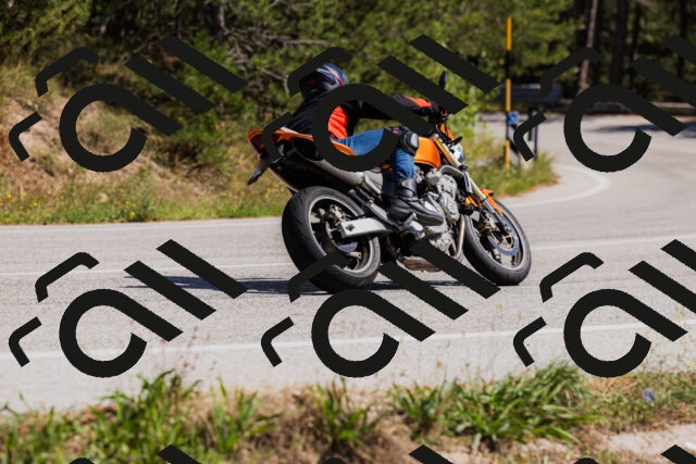 202509061419-_04A6918_c3