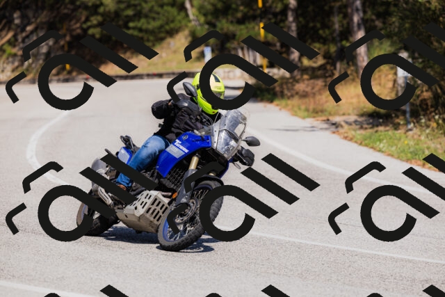 202509061419-_04A6921_c3