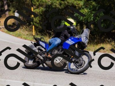 202509061419-_04A6922_c3