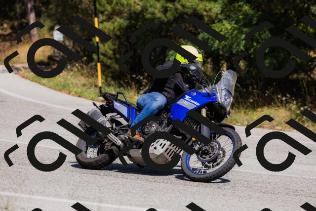 202509061419-_04A6922_c3