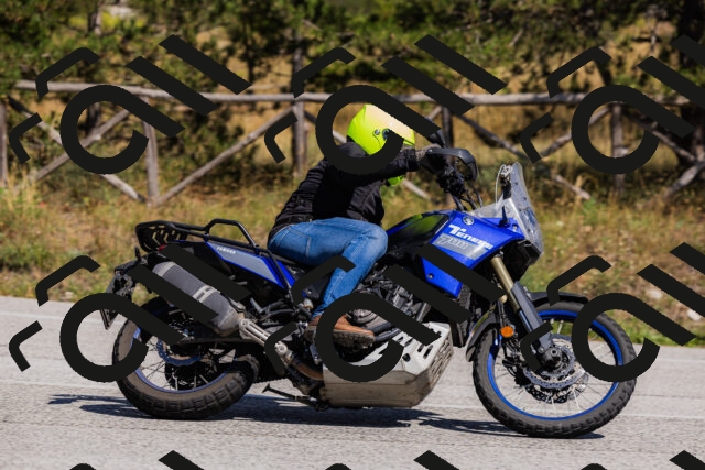 202509061419-_04A6923_c3