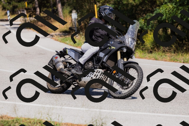 202509061420-_04A6944_c3