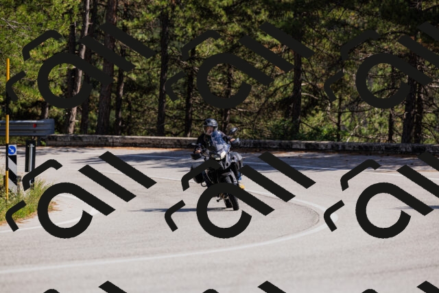 202509061421-_04A6947_c3