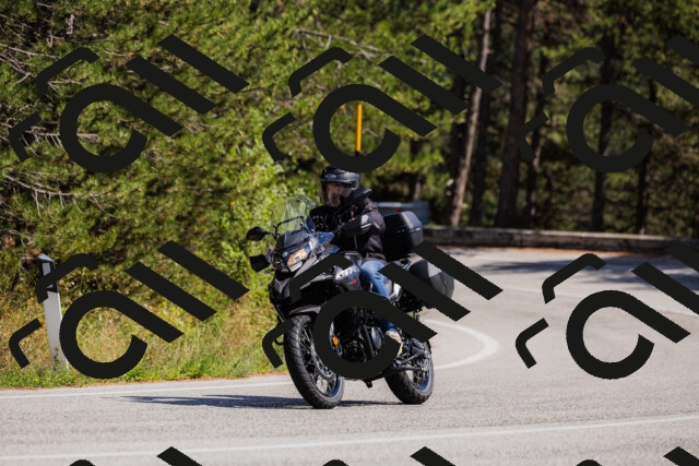 202509061421-_04A6949_c3