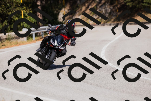 202509061423-_04A6951_c3