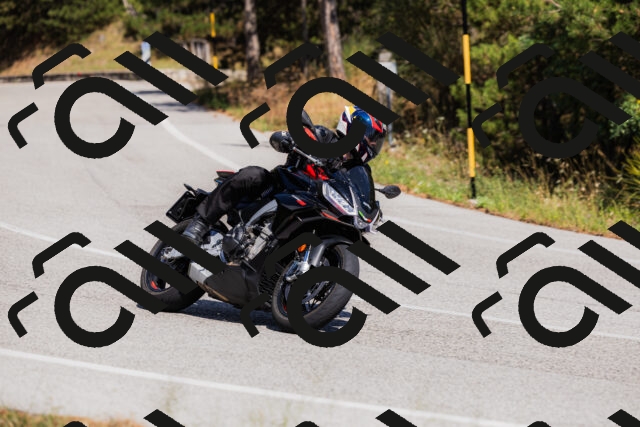 202509061423-_04A6953_c3