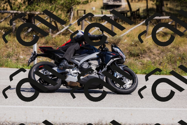 202509061423-_04A6955_c3