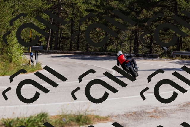 202509061423-_04A6959_c3