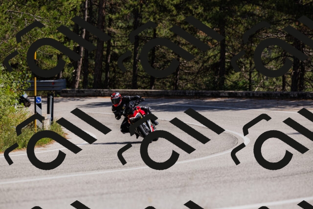 202509061423-_04A6960_c3