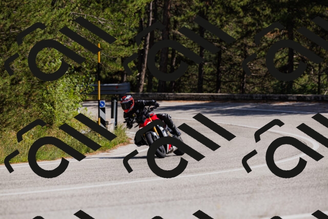 202509061423-_04A6961_c3