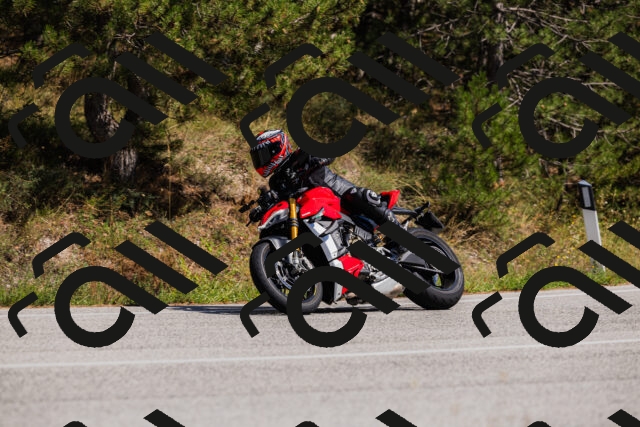 202509061423-_04A6963_c3