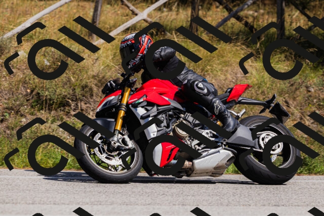 202509061423-_04A6964_c3