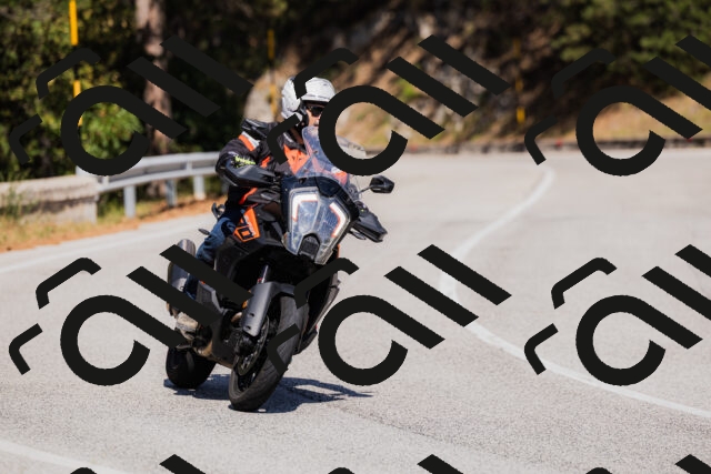 202509061423-_04A6966_c3