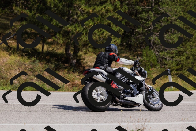 202509061428-_04A6978_c3