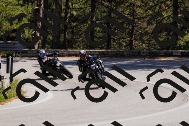 202509061428-_04A6979_c3